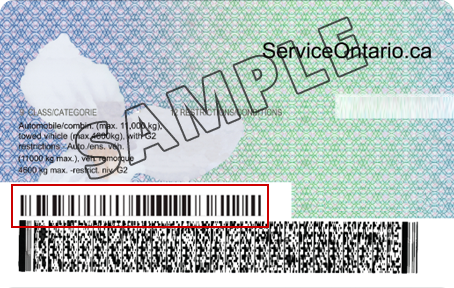 drivers license barcode back